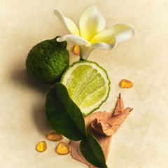 Mini Hair & Body Mist D7